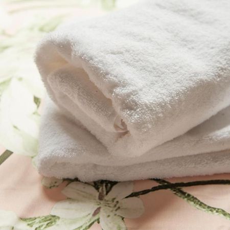 ミデルブルグ De Carper Bed & Breakfast エクステリア 写真
